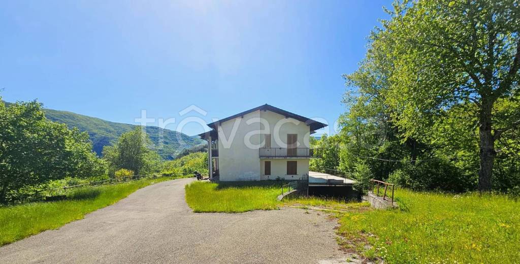 immagine annuncio 11 di 13