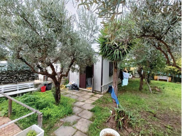 immagine annuncio 5 di 12