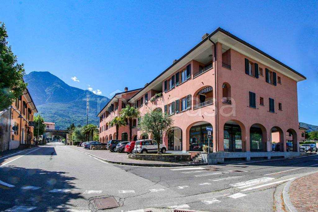 immagine annuncio 1 di 14