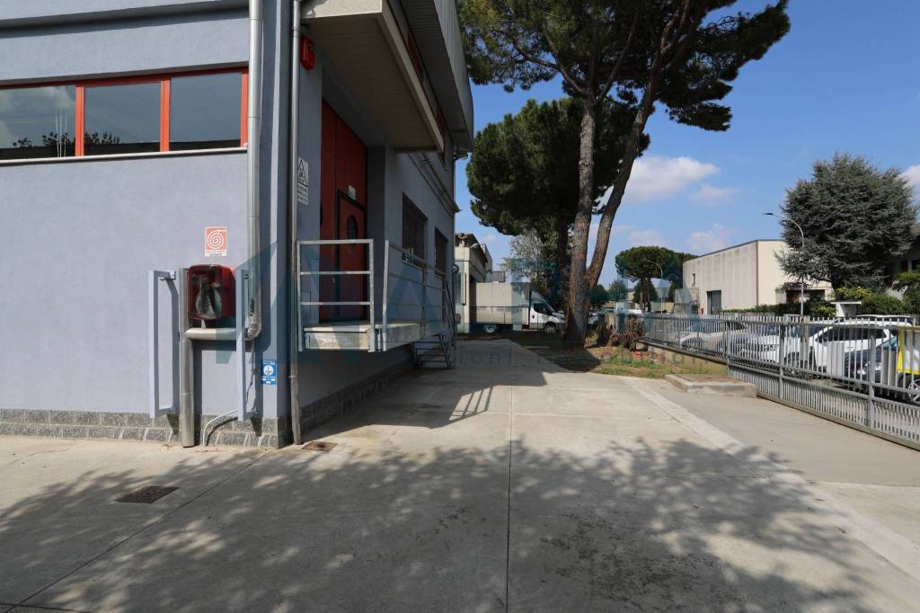 immagine annuncio 5 di 15
