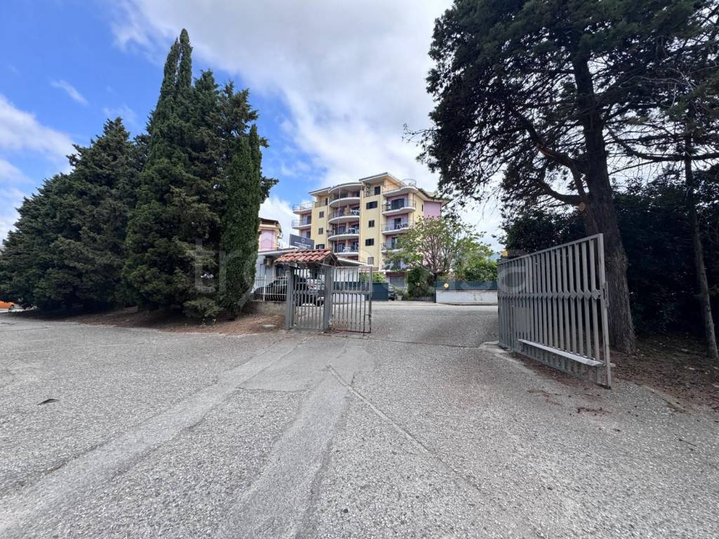 immagine annuncio 6 di 12