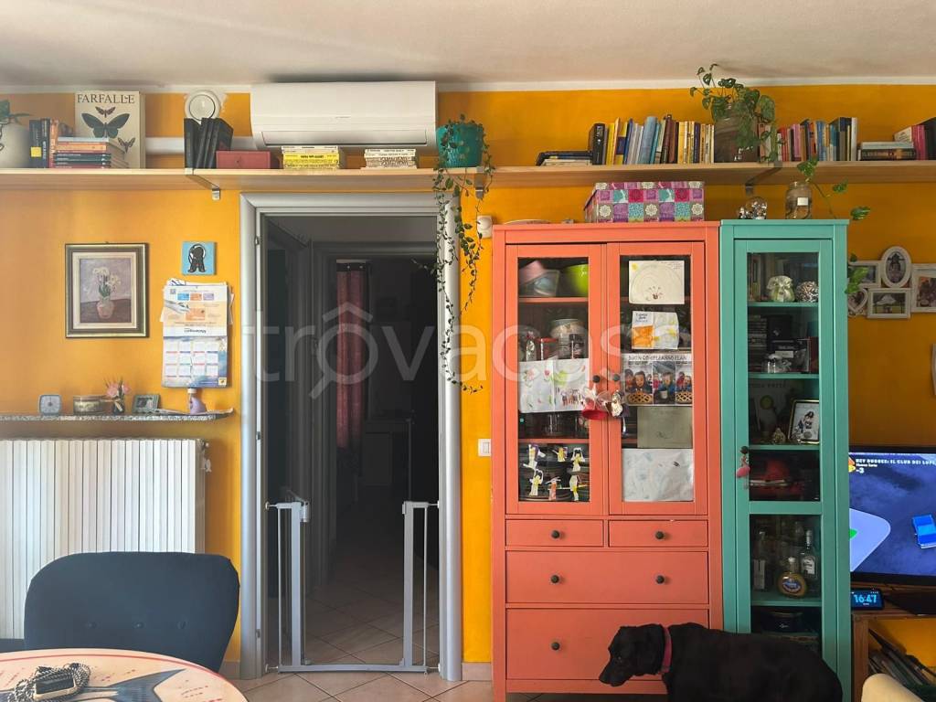 immagine annuncio 11 di 15