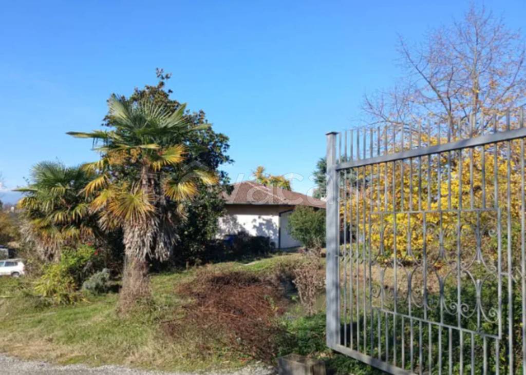 immagine annuncio 2 di 11