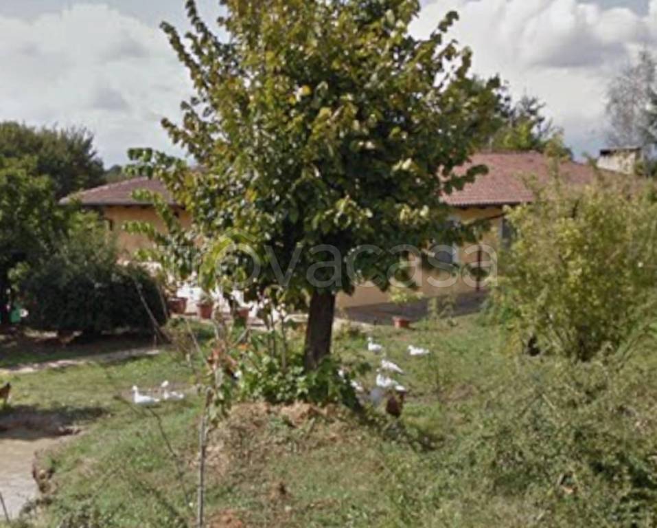 immagine annuncio 6 di 11