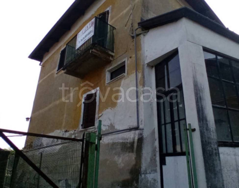 immagine annuncio 1 di 11