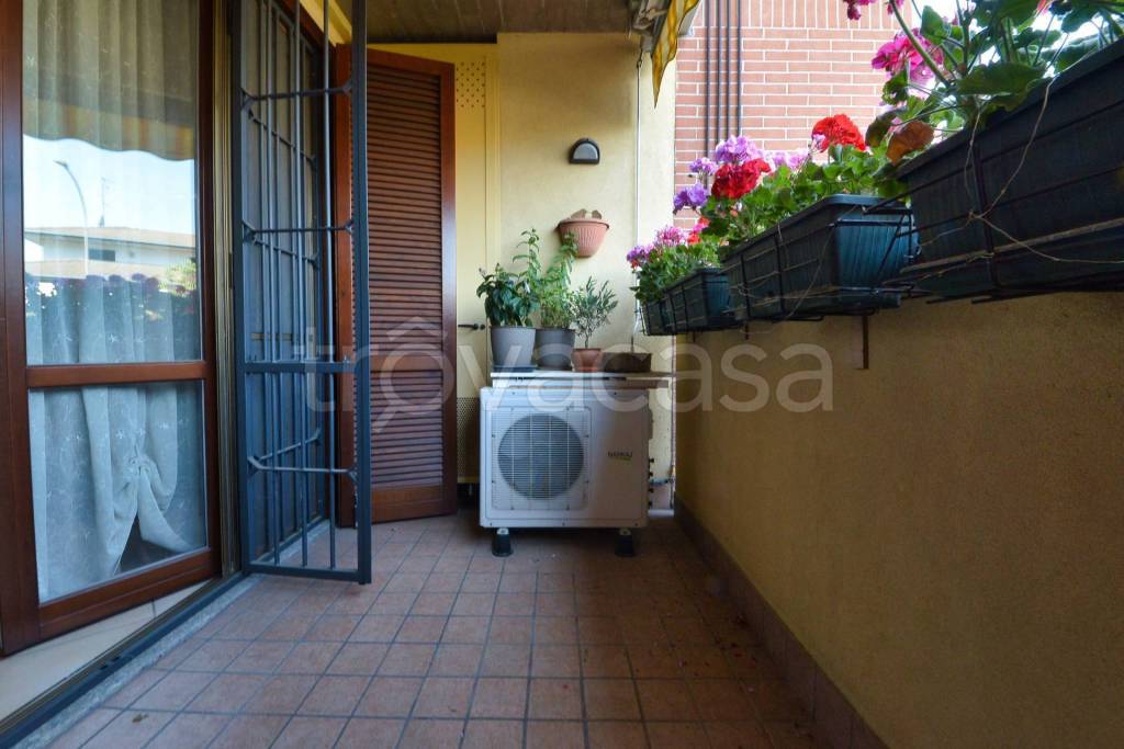 immagine annuncio 11 di 15
