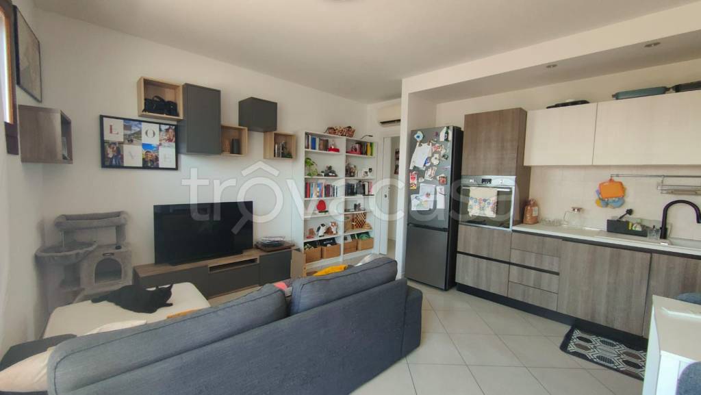immagine annuncio 13 di 15