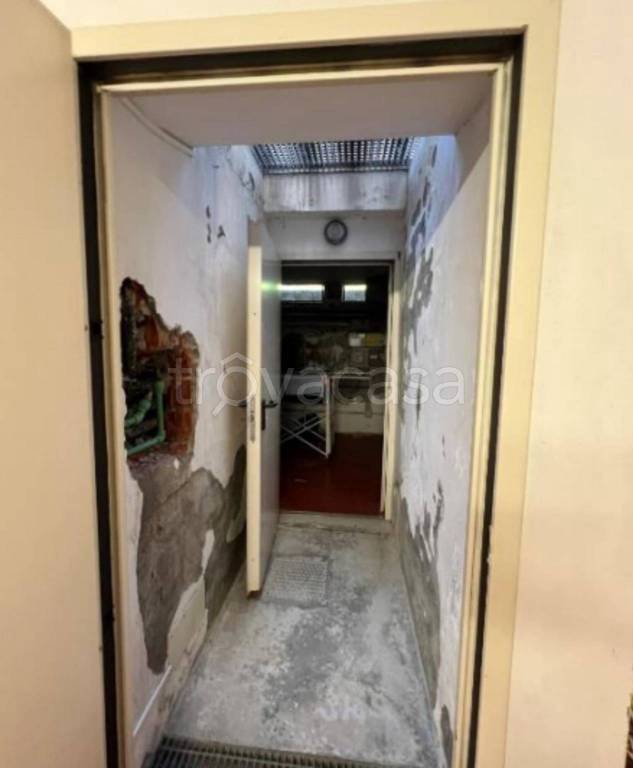 immagine annuncio 5 di 12
