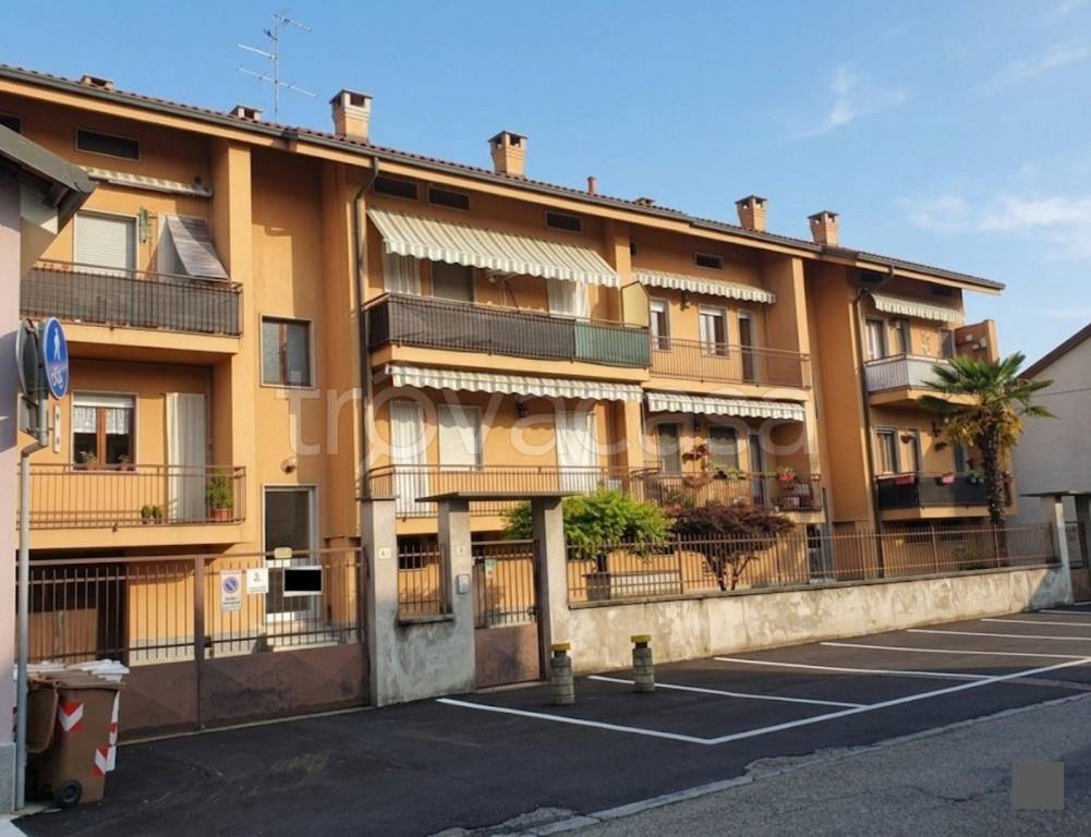 immagine annuncio 1 di 14