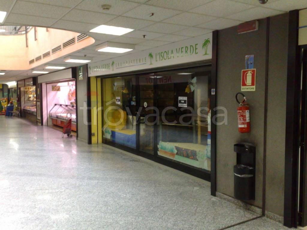 immagine annuncio 2 di 7