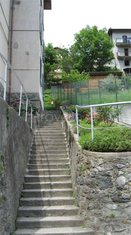 immagine annuncio 5 di 14