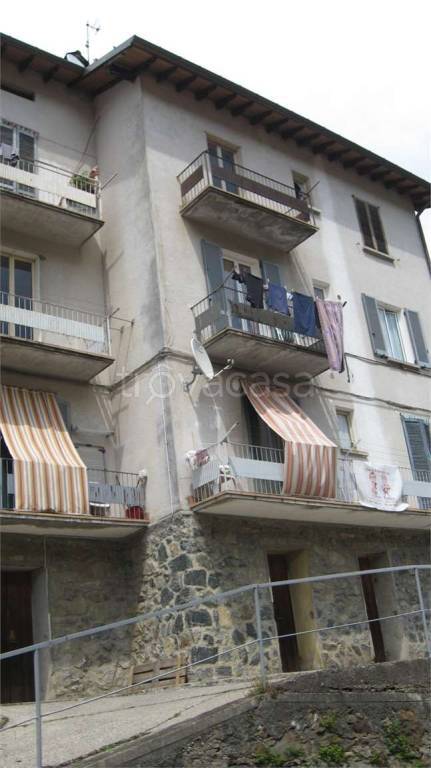 immagine annuncio 7 di 14