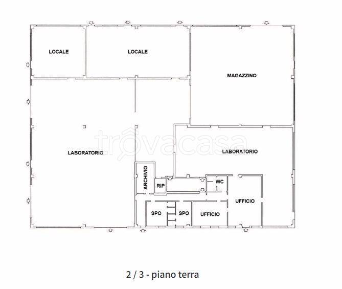 immagine annuncio 11 di 13
