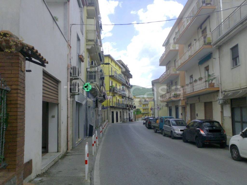 immagine annuncio 2 di 14