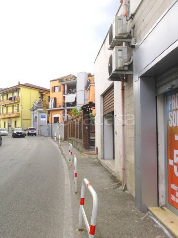 immagine annuncio 3 di 14