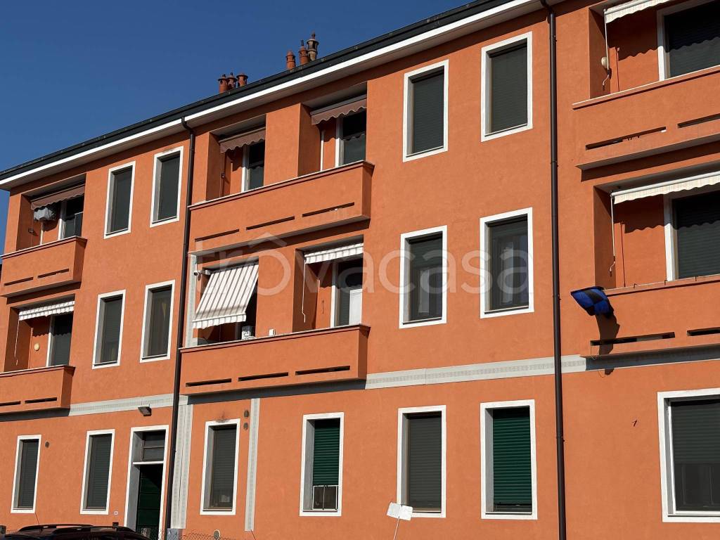immagine annuncio 1 di 14