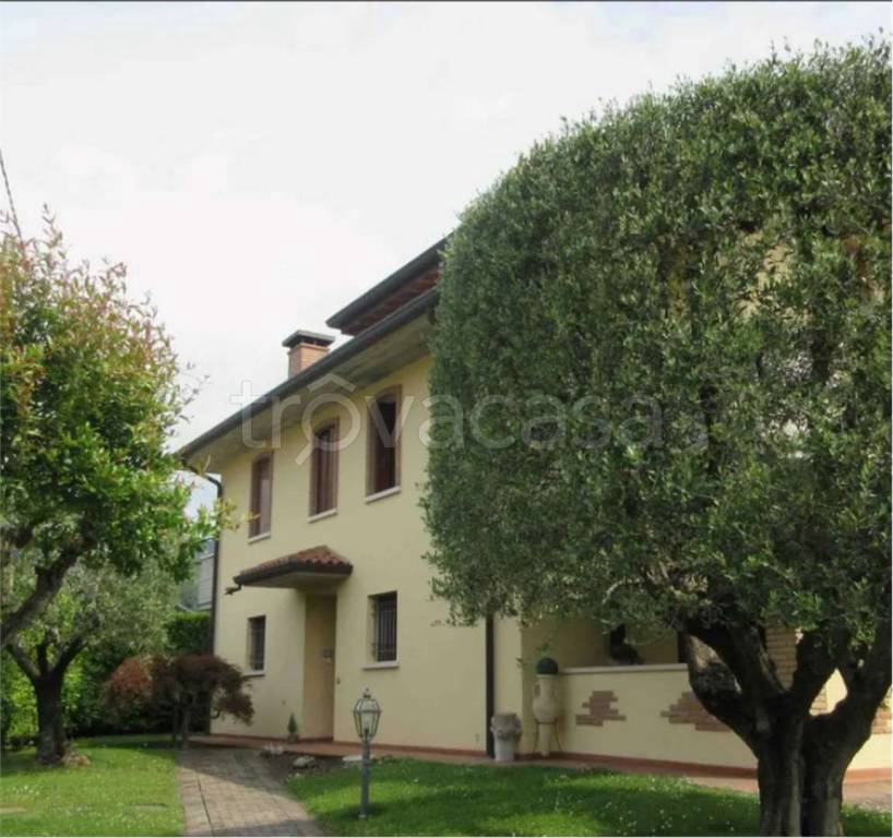 immagine annuncio 7 di 11