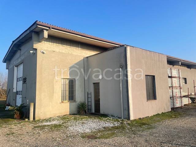 immagine annuncio 2 di 8
