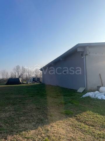 immagine annuncio 3 di 8