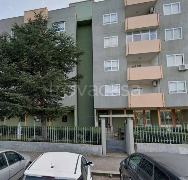 immagine annuncio 1 di 14