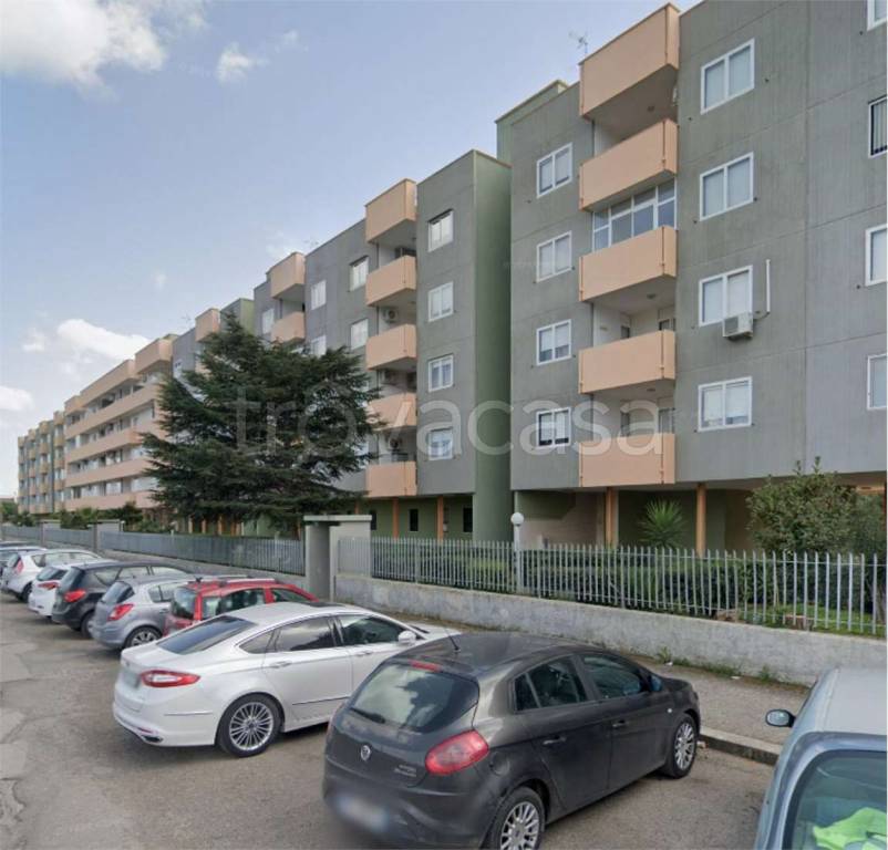 immagine annuncio 3 di 14
