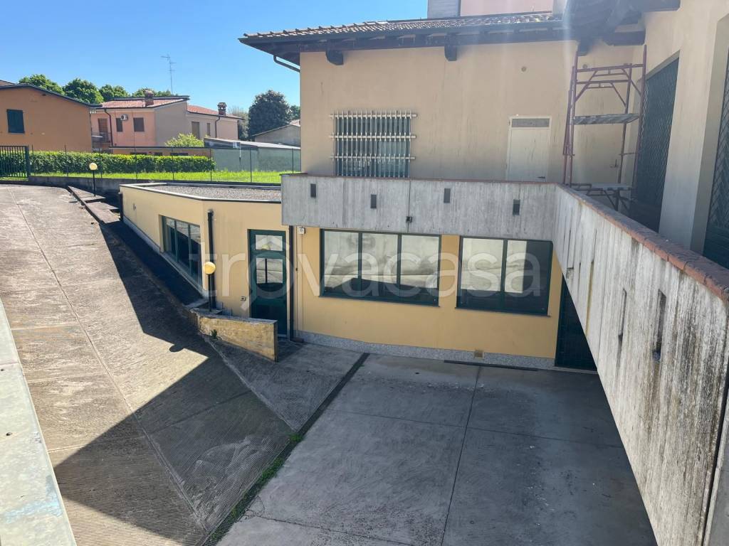 immagine annuncio 1 di 13