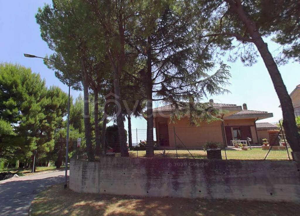 immagine annuncio 8 di 14