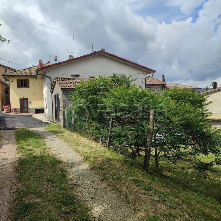 immagine annuncio 9 di 14
