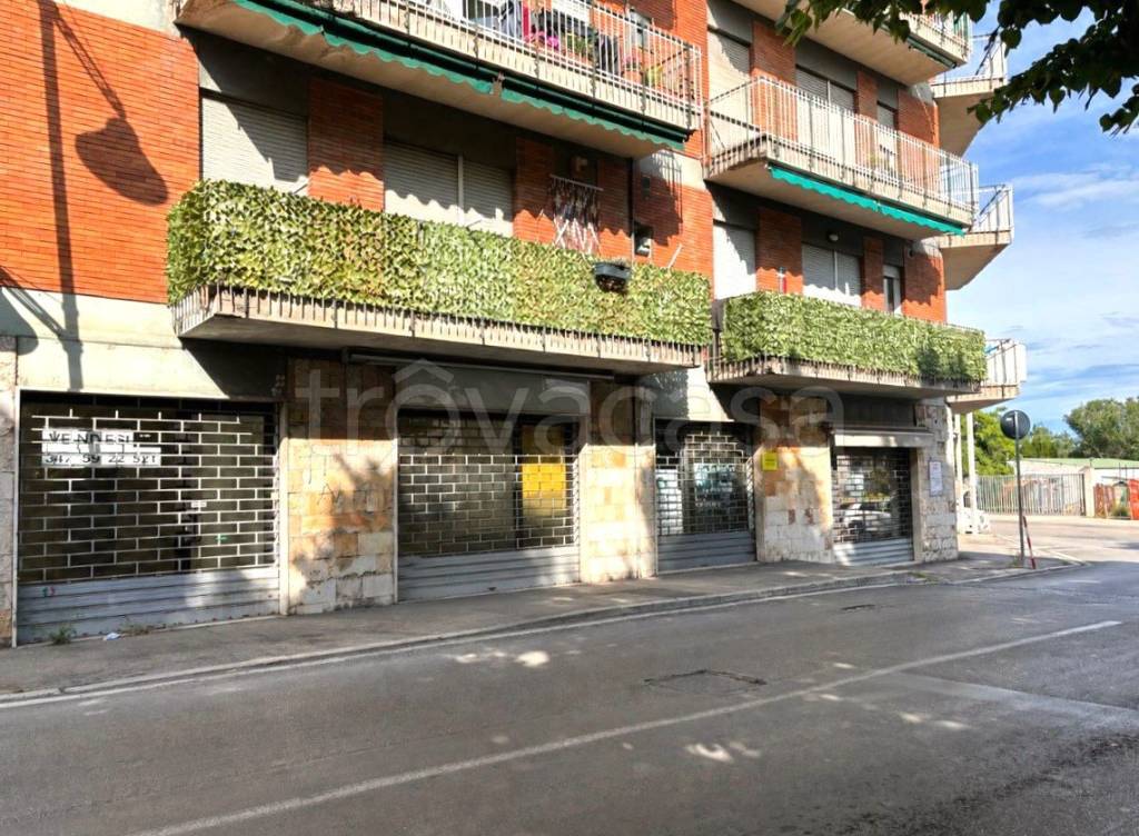 immagine annuncio 9 di 11
