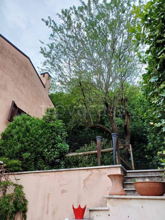 immagine annuncio 5 di 14