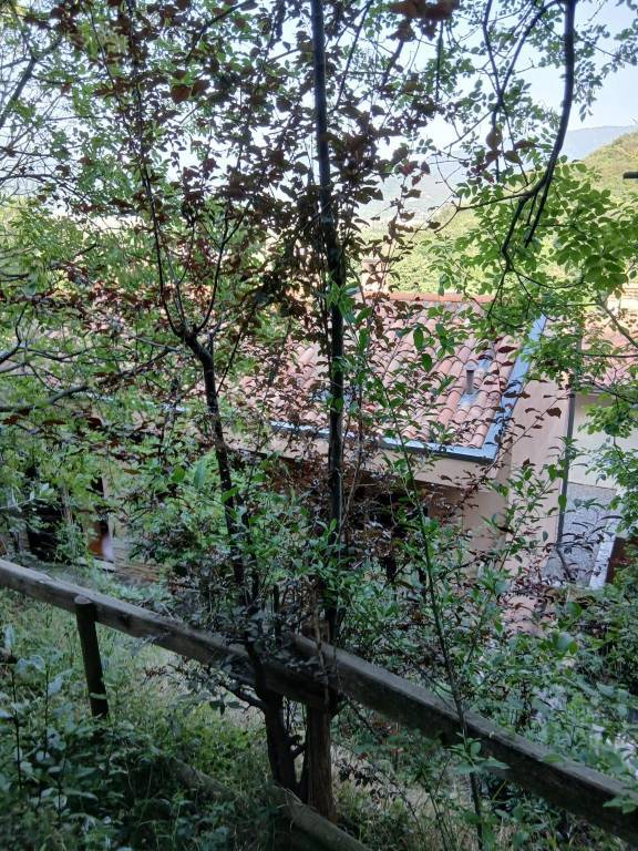immagine annuncio 11 di 14