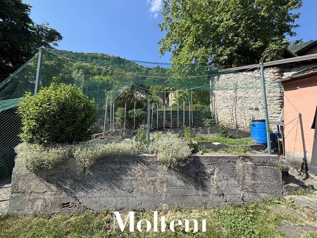 immagine annuncio 5 di 11