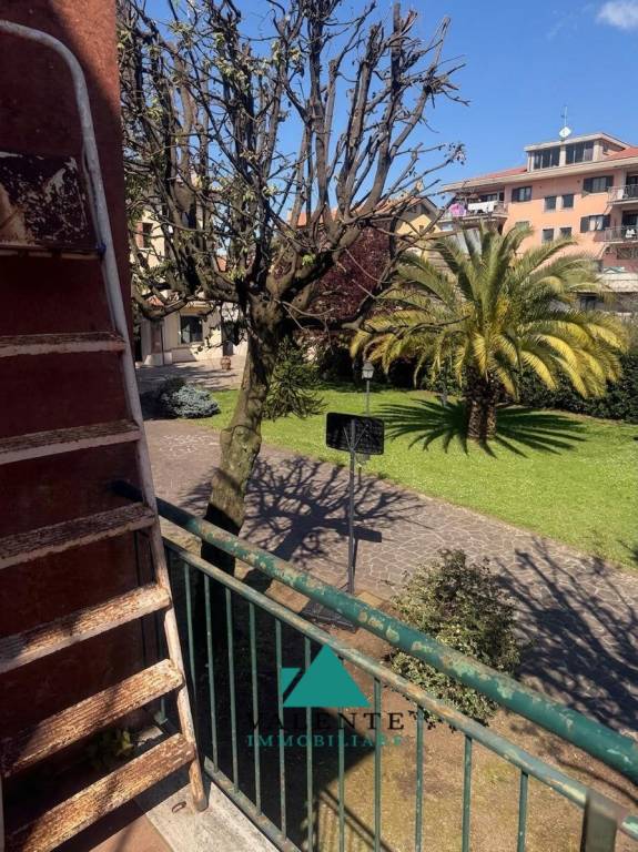 immagine annuncio 11 di 14
