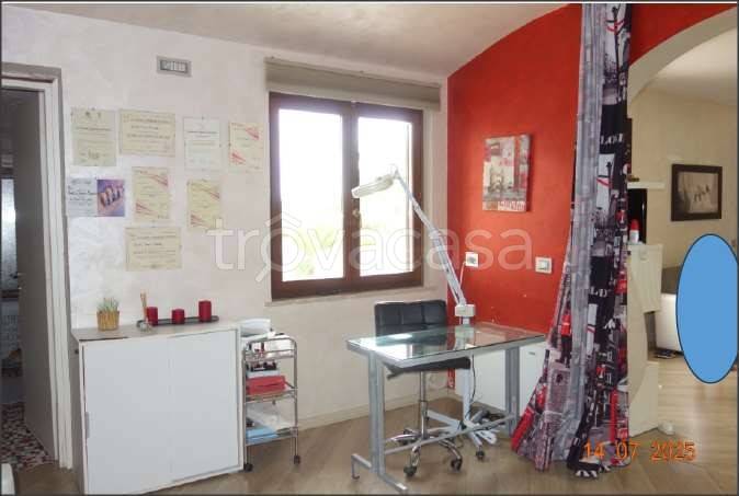 immagine annuncio 9 di 15