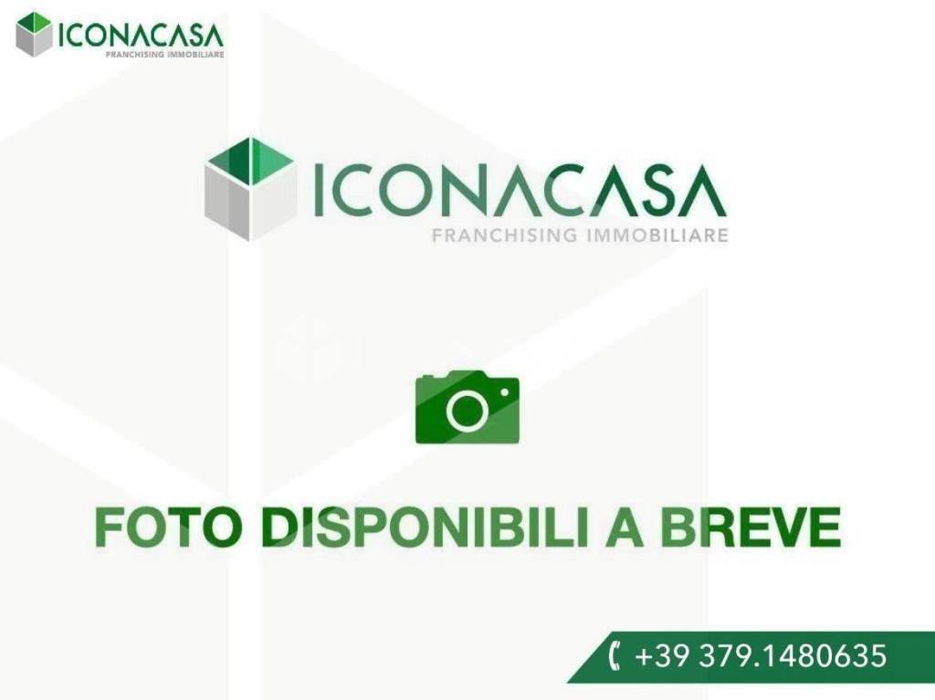 immagine annuncio 2 di 8