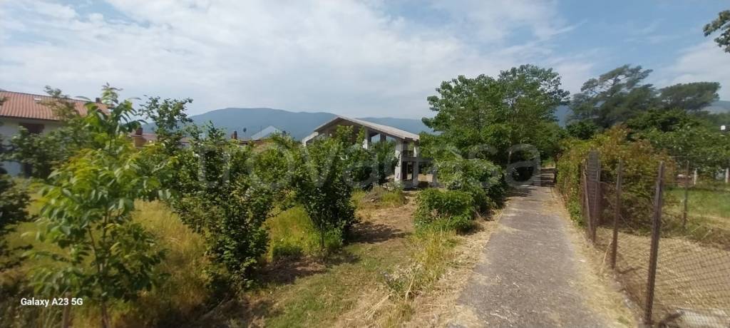 immagine annuncio 4 di 7