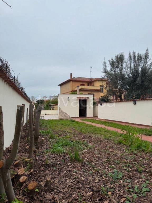 immagine annuncio 2 di 11