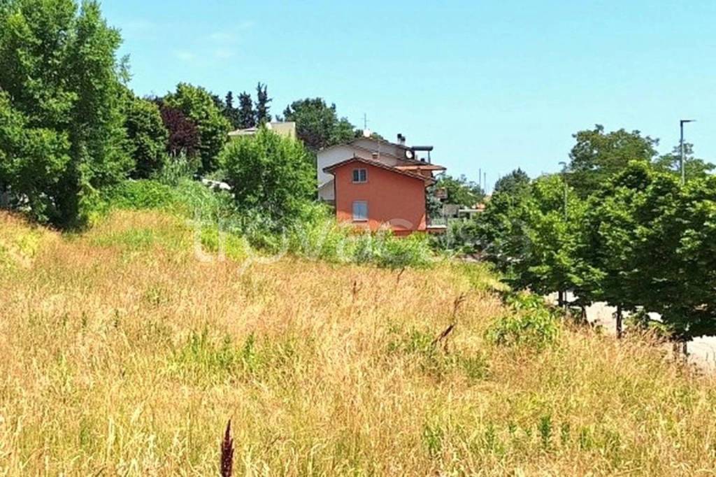 immagine annuncio 9 di 14