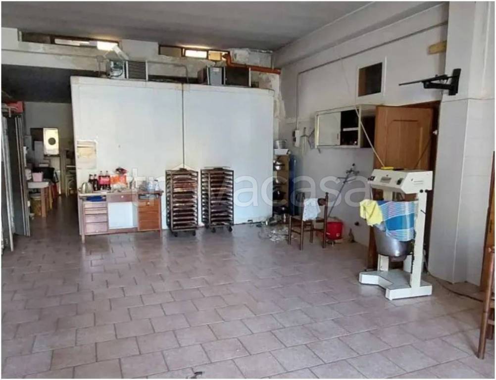 immagine annuncio 9 di 14