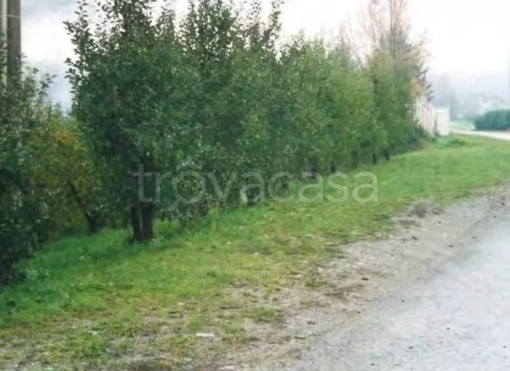 immagine annuncio 2 di 7
