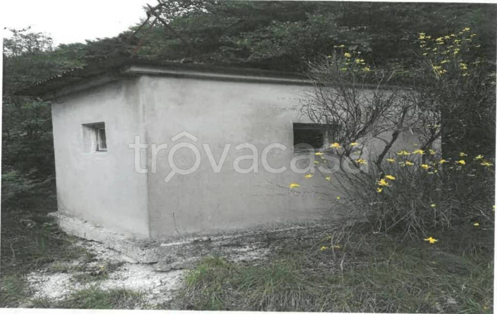 immagine annuncio 6 di 8