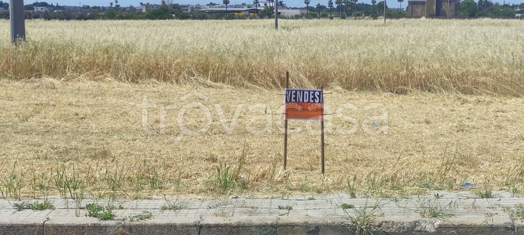 immagine annuncio 1 di 6