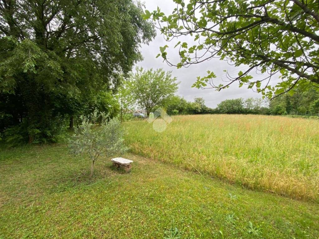 immagine annuncio 5 di 14