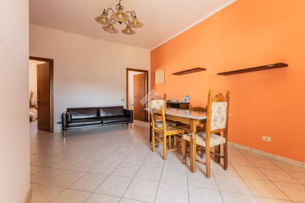 immagine annuncio 3 di 14