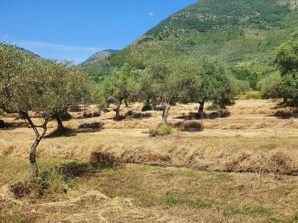 immagine annuncio 1 di 4
