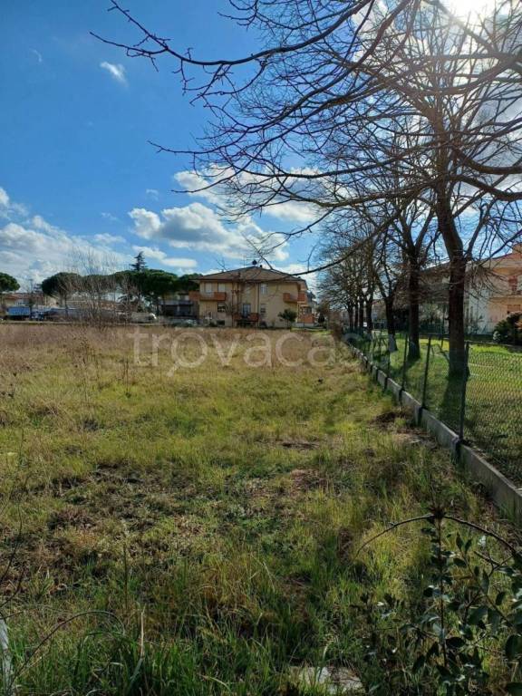 immagine annuncio 3 di 9