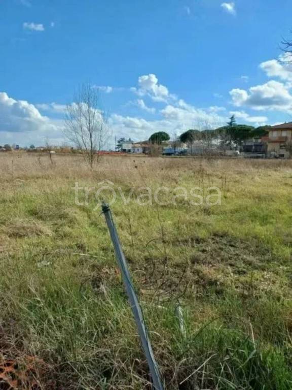 immagine annuncio 6 di 9