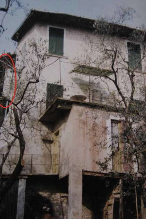 immagine annuncio 1 di 12