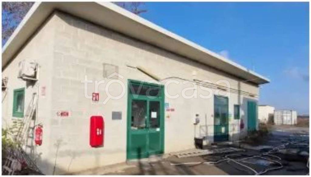 immagine annuncio 12 di 14