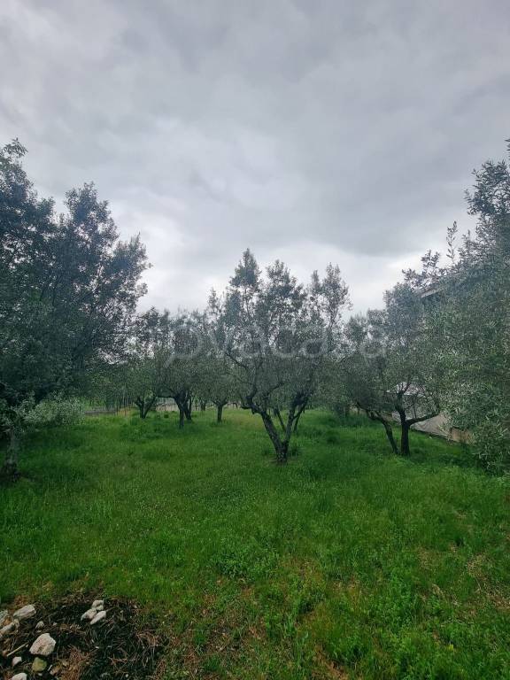 immagine annuncio 1 di 6
